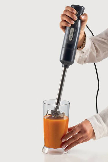 Ariete Ραβδομπλέντερ με Ανοξείδωτη Ράβδο 700W Μαύρο
