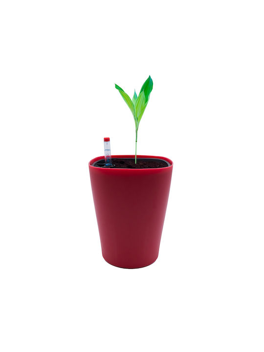 Uncle George Self-watering Pot Plastic 14.5x14.5x18cm.