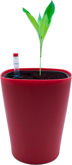 Uncle George Self-watering Pot Plastic 14.5x14.5x18cm.