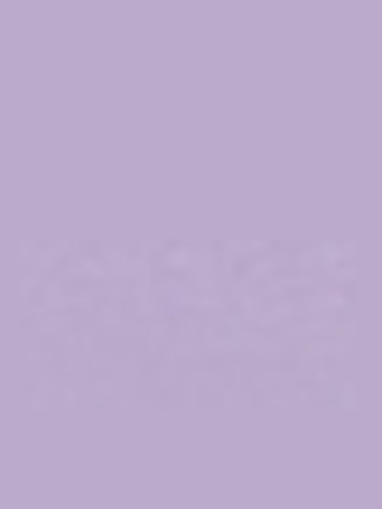 Bikini Τριγωνάκι Purple Rose