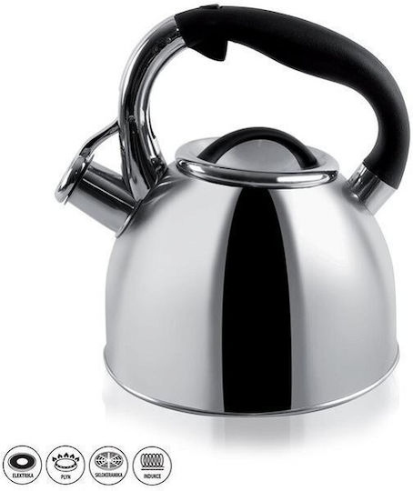 Orion Teapot Stainless Steel Gray 2700ml