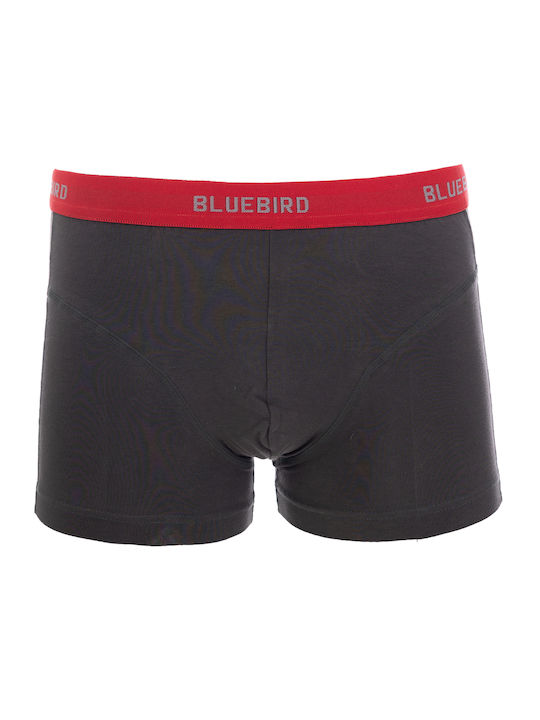 Palco Herren Boxershorts Schwarz 1Packung