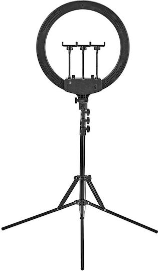 Activeshop RGB Ring Light 45.72cm