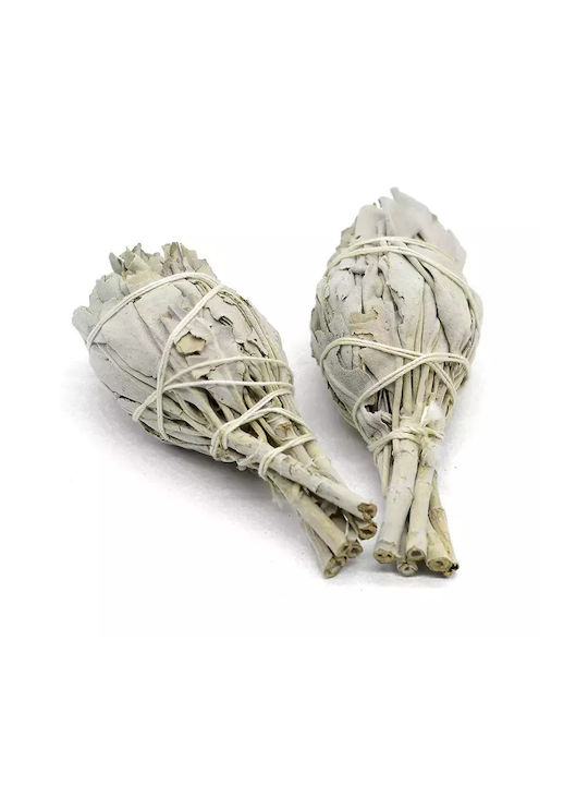 White Sage Smudge Torch 12χ4cm Ραβδί Θυμιάματος Λευκό Φασκόμηλο