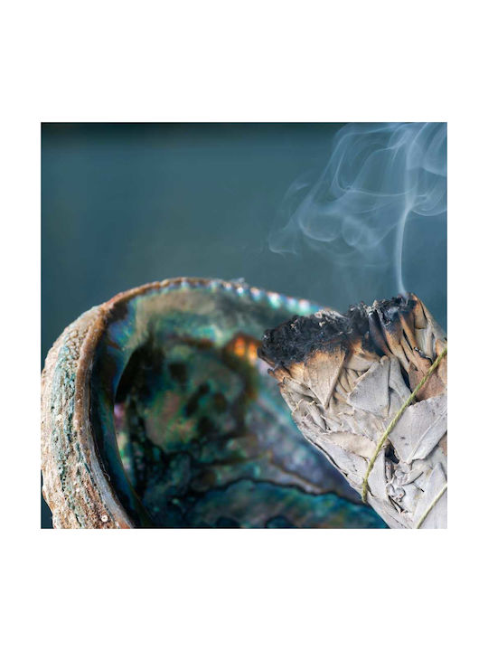 White Sage Eucalyptus Smudge Stick 10χ3cm Σετ 3 Ραβδιά Θυμιάματος