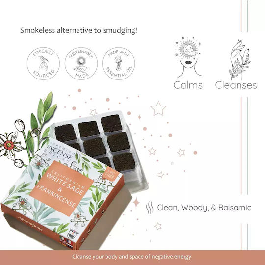 Gift Set Smudge White Sage Καυστήρας Θυμιαμάτων Tree Life + 12 Κύβοι Θυμιάματος