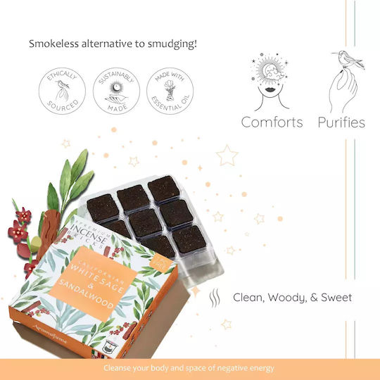 Gift Set Smudge White Sage Καυστήρας Θυμιαμάτων Tree Life + 12 Κύβοι Θυμιάματος