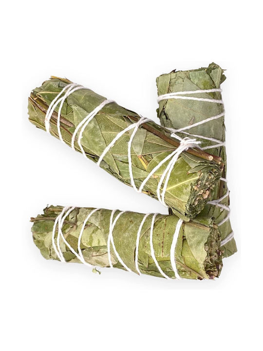 White Sage Eucalyptus Smudge Stick 10χ3cm Σετ 3 Ραβδιά Θυμιάματος
