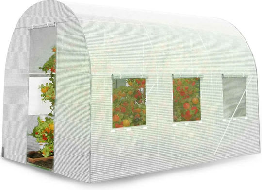 DAC-NOP-10009310 Seră Tunel cu Cadru Metalic 3x2x2m