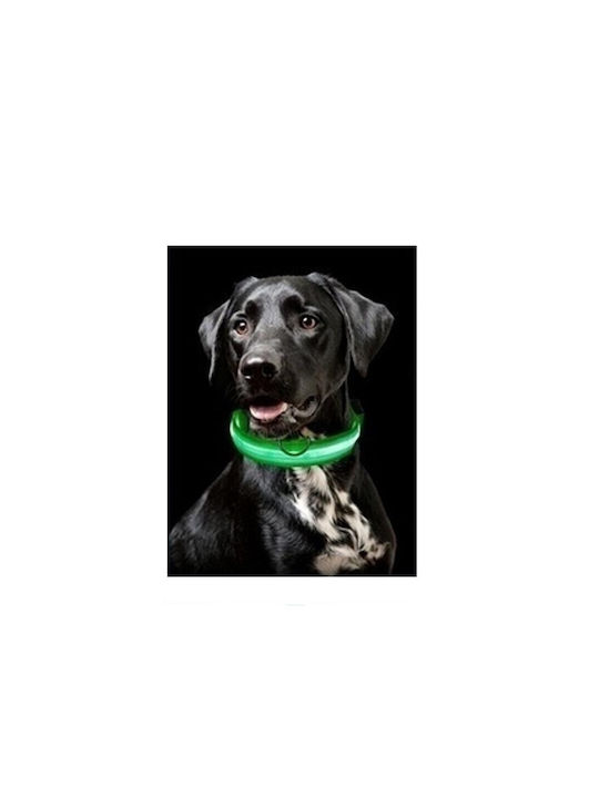 Hundehalsband aus in Grün Farbe Mittel