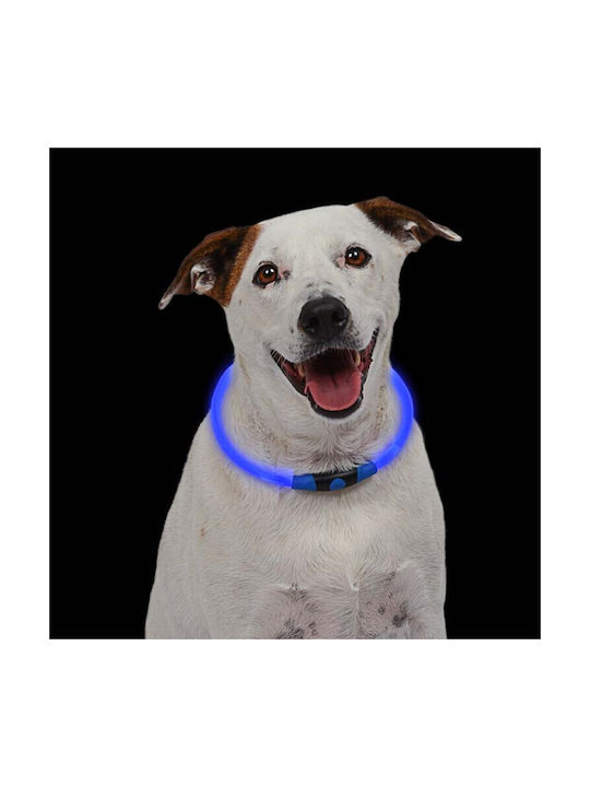 Hundehalsband aus in Blau Farbe 55cm