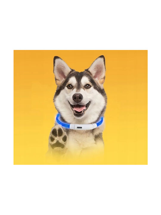 Hundehalsband aus in Blau Farbe 55cm