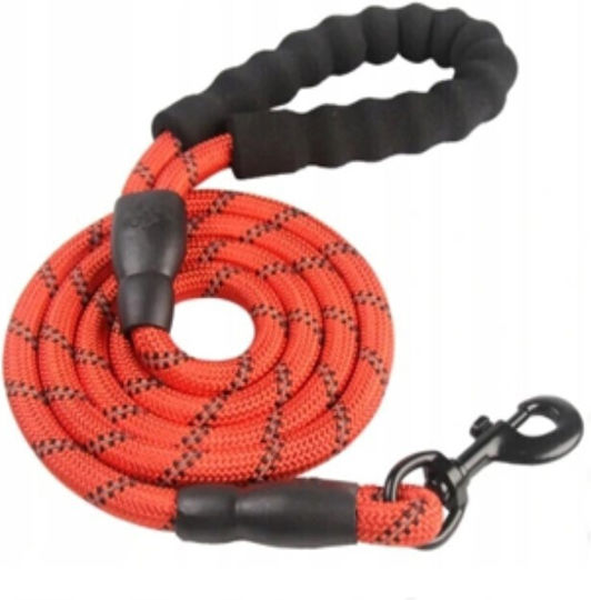 Hundeleine/Führleine Schulung Riemen in Rot Farbe