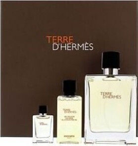 Hermes Terre D'Hermes Eau de Toilette 100ml & Terre D'Her Men's Set with Eau de Toilette 3pcs
