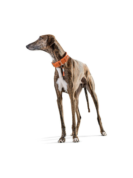 Hunter Hundehalsband Leder in Orange Farbe Groß 57cm