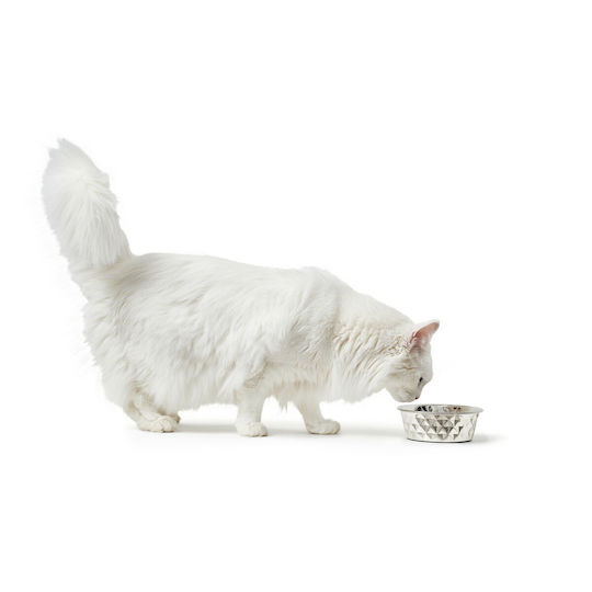 Hunter Silicone Food and Water Bowl for Dog and Cat 350ml