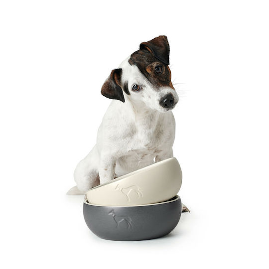 Hunter Ceramic Bowl Food & Water for Dog & Cat 310ml in Gray Color