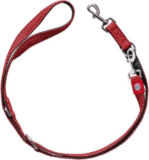 Hunter Λουρί/Οδηγός Σκύλου Εκπαίδευσης Ιμάντας Leash Hilo
