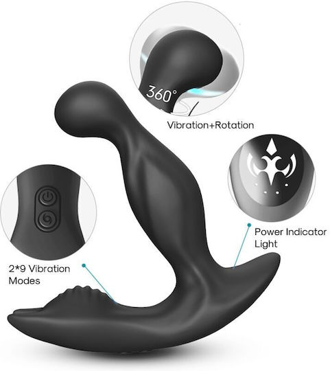 Armony Analvibrator mit kabelloser Funktion Schwarz 13.2cm