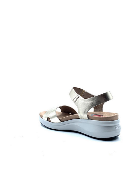 Fluchos
