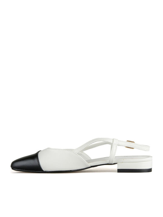 Silia D