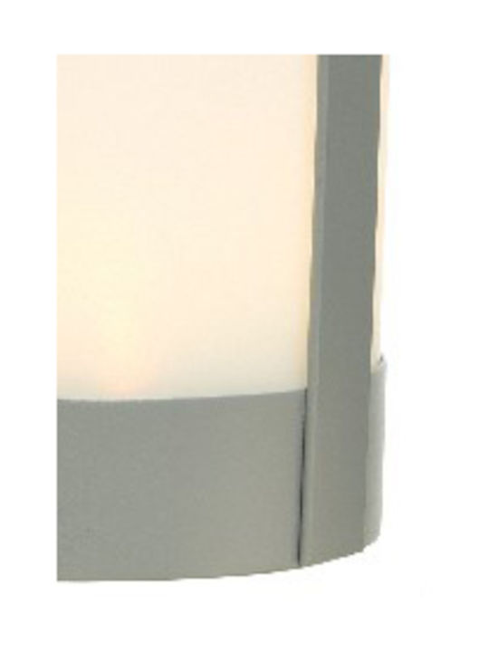 Kaemingk Felinar Plastic Multicolor 13x13x13buc 1buc