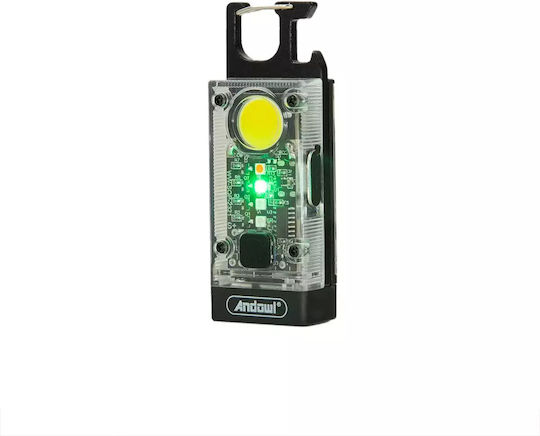 Andowl Rechargeable LED Keychain Flash Light with Maximum Brightness 300lm Qd80