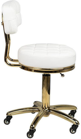 Salon Stools Wheeled Stool with Backrest White 0131988
