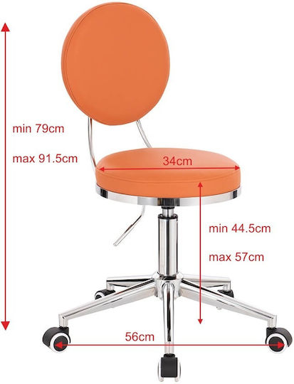 Salon Stools Scaun
