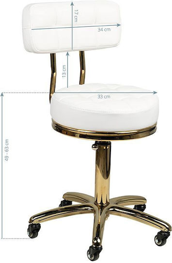 Salon Stools Wheeled Stool with Backrest White 0131988