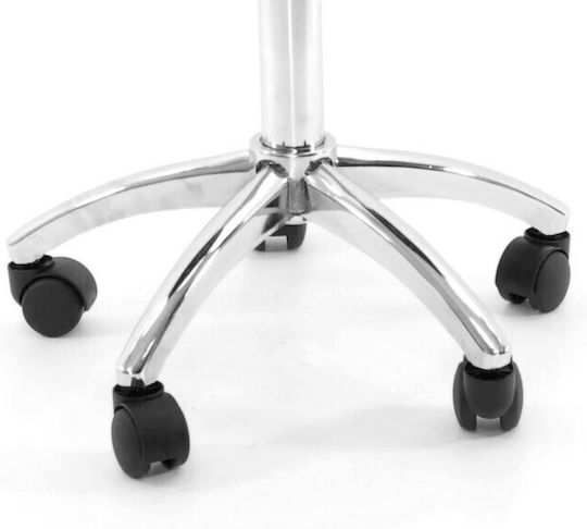 Salon Stools Scaun
