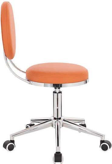 Salon Stools Scaun