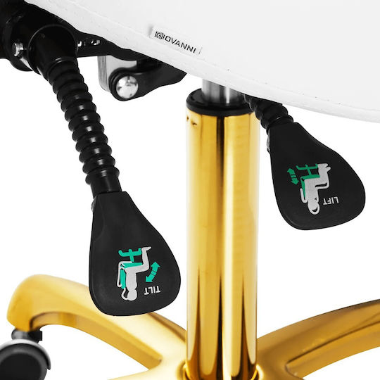Salon Stools Wheeled Stool with Backrest Gold white-0147847