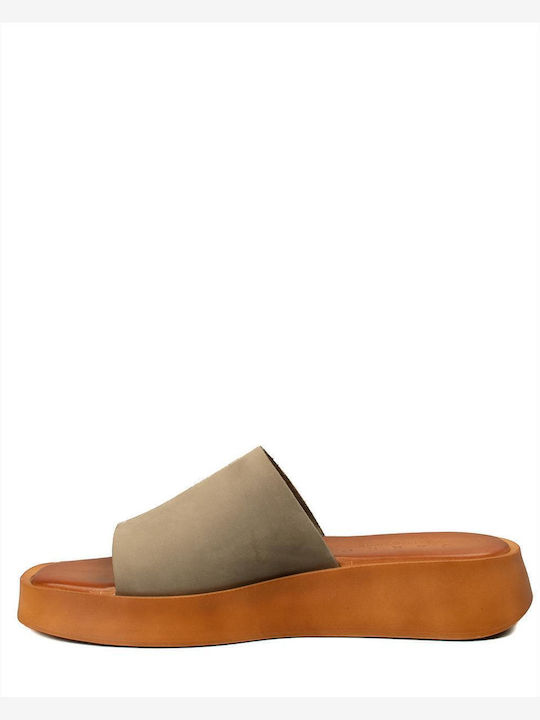 Zakro Collection