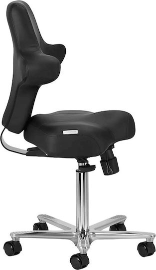 Salon Stools Scaun