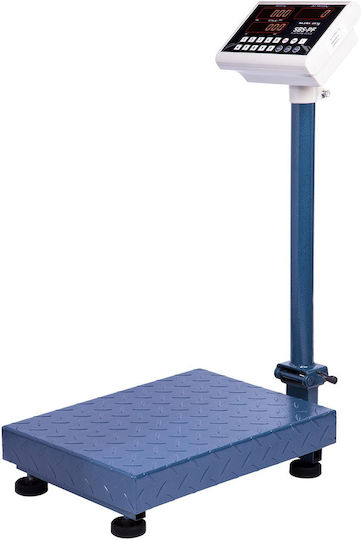 Steinberg Systems Balanță cu Coloană cu Capacitate de Cântărire 100kg