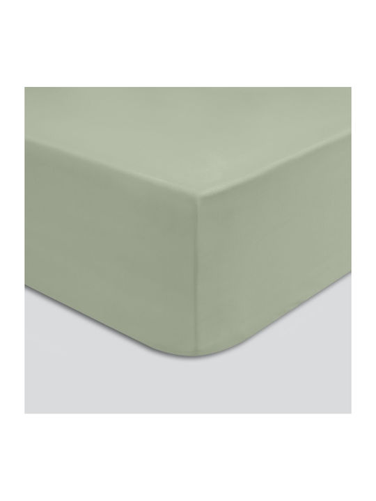 Cannon Classic Σεντόνι Υπέρδιπλο με Λάστιχο 160x200+30εκ. Olive