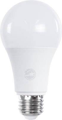 GloboStar Λάμπα LED για Ντουί E27 και Σχήμα A60 Ψυχρό Λευκό 990lm Dimmable