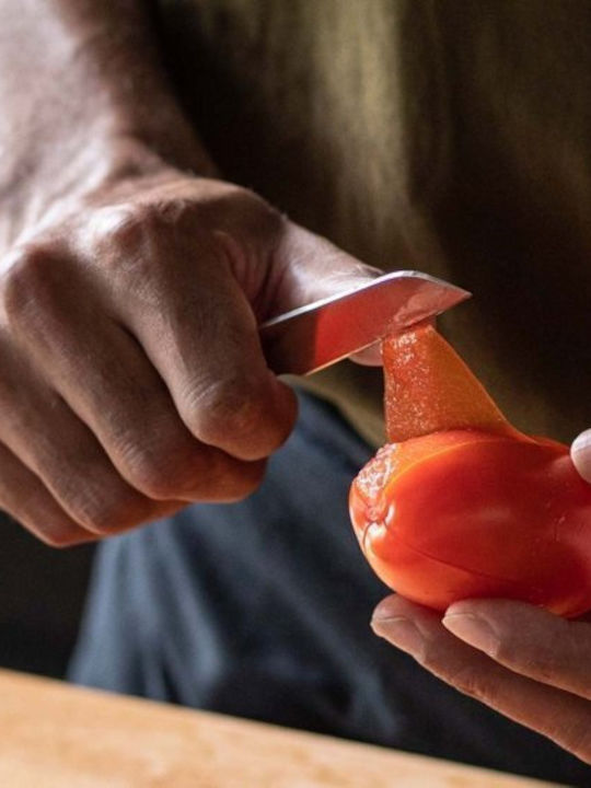 Fiskars Μαχαίρι Γενικής Χρήσης από Ανοξείδωτο Ατσάλι 7cm