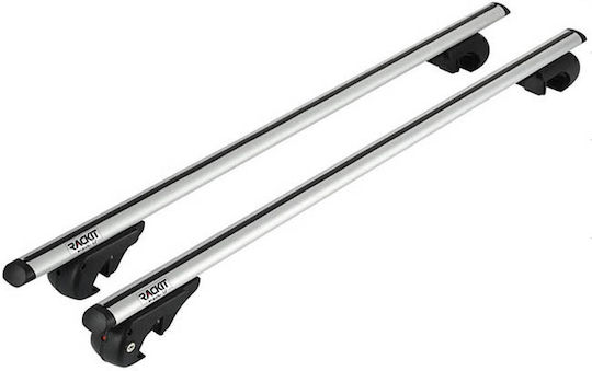 Auto Gs for Cars with Factory Bars (with Roof Rack Legs and Lock) Silver