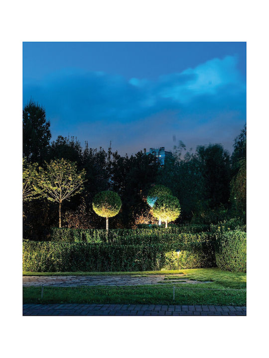 VK Lighting Φωτιστικό Led Καρφωτό 75169-359997