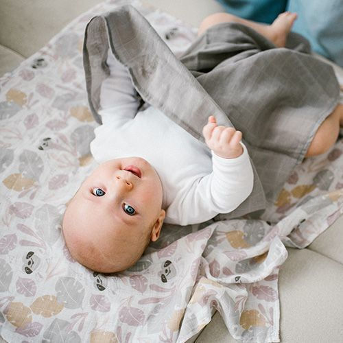 Babyono Πάνες Αγκαλιάς από Μουσελίνα Grey 70x70εκ. 3τμχ