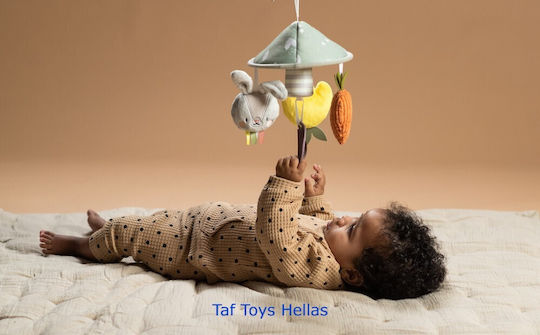 Taf Toys Mobile für Kinderbett mit Musik Mini Garden Pram für 0++ Monate 13195