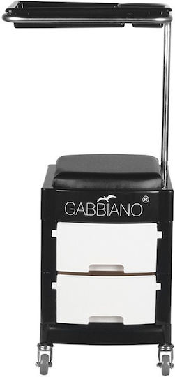 Activeshop Hair Salon Maintenance Cart with 2 Drawers