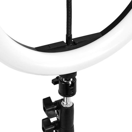 Activeshop Lamp Light RGB Ringlicht 25,4cm