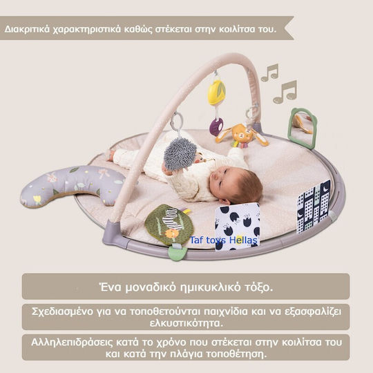 Taf Toys Activity Gym with Music for Newborns