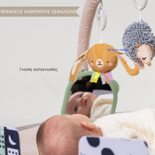 Taf Toys Activity Gym with Music for Newborns