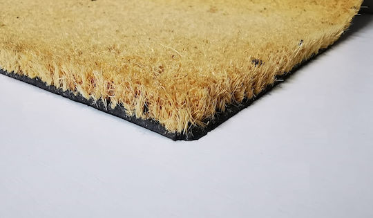 Doormat From Coconut Tree Blue 60x40cm Blue