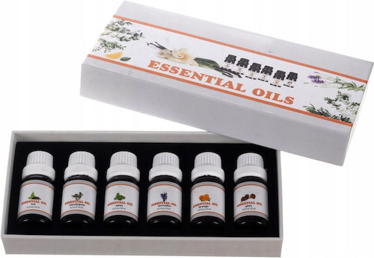 Aromatic Oil Αρωματικό Έλαιο 10ml 6buc ZY12193QWS39
