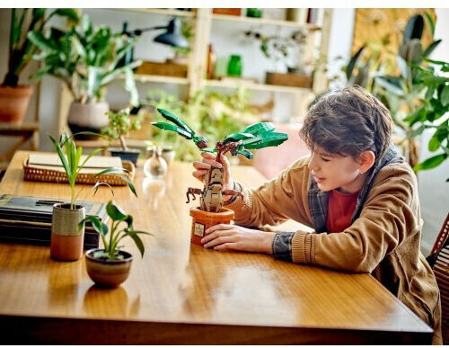 LEGO Harry Potter Mandrake for 10+ Years 579 Pieces